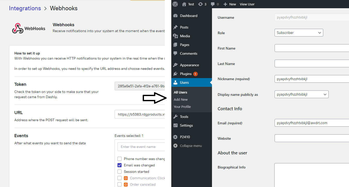 Tīklā no Dashly, kas aktivizē automātisku WordPress konta izveidi – testa lietotājs izveidots pēc e-pasta iesnieguma čatā.